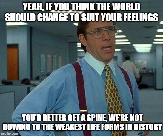 That Would Be Great | YEAH, IF YOU THINK THE WORLD SHOULD CHANGE TO SUIT YOUR FEELINGS; YOU'D BETTER GET A SPINE, WE'RE NOT BOWING TO THE WEAKEST LIFE FORMS IN HISTORY | image tagged in memes,that would be great | made w/ Imgflip meme maker