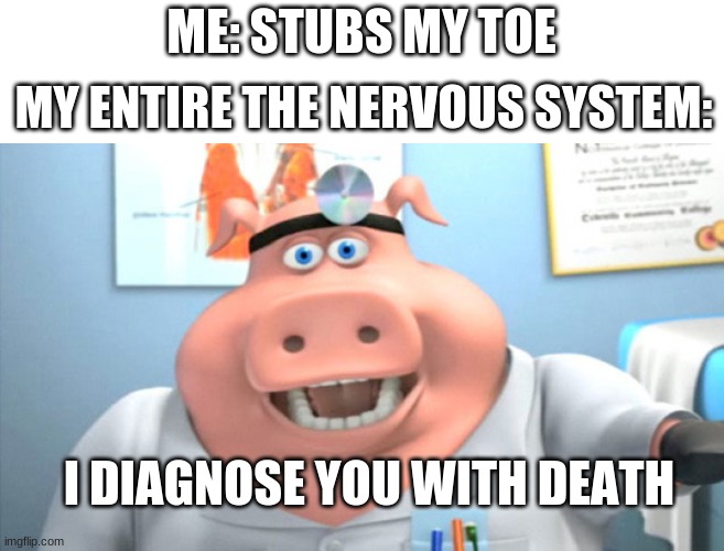 Death |  ME: STUBS MY TOE; MY ENTIRE THE NERVOUS SYSTEM:; I DIAGNOSE YOU WITH DEATH | image tagged in i diagnose you with dead | made w/ Imgflip meme maker