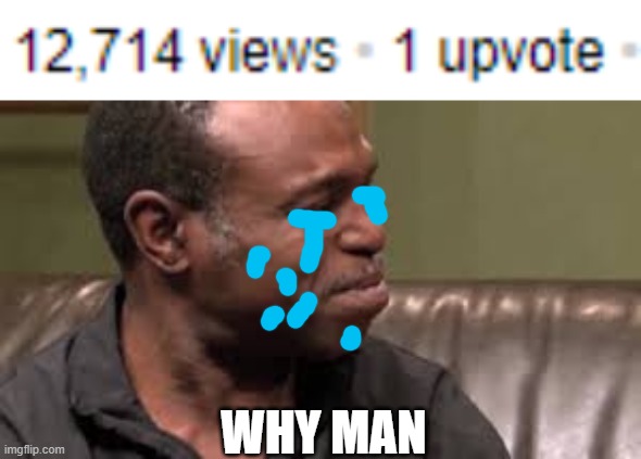 F in the chat for that guy.. | WHY MAN | image tagged in best cry ever | made w/ Imgflip meme maker