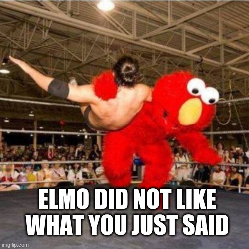 Elmo wrestling | ELMO DID NOT LIKE WHAT YOU JUST SAID | image tagged in elmo wrestling | made w/ Imgflip meme maker