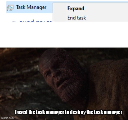 I used the stones to destroy the stones | I used the task manager to destroy the task manager | image tagged in thanos i used the x to destroy the x | made w/ Imgflip meme maker