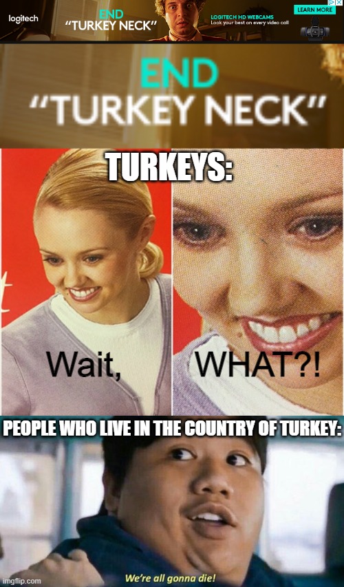 If this isn't the best Thanksgiving related meme of all time, I don't know what is! (Even though, it's the middle of September.. | TURKEYS:; Wait, WHAT?! PEOPLE WHO LIVE IN THE COUNTRY OF TURKEY: | image tagged in wait what,we're all gonna die,ads,turkey | made w/ Imgflip meme maker