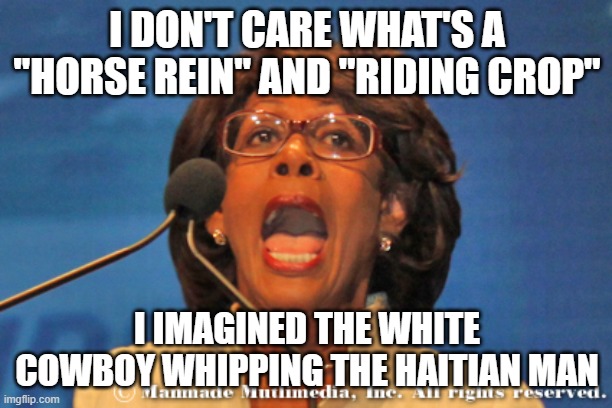 Maxine waters | I DON'T CARE WHAT'S A "HORSE REIN" AND "RIDING CROP"; I IMAGINED THE WHITE COWBOY WHIPPING THE HAITIAN MAN | image tagged in maxine waters | made w/ Imgflip meme maker