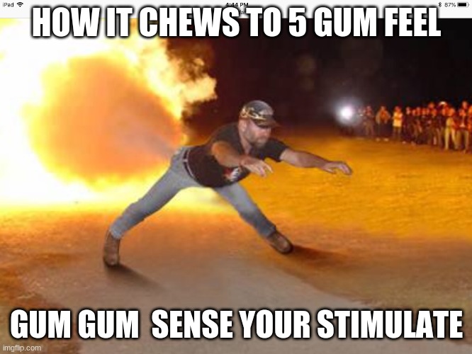How it feels to chew 5 gum | HOW IT CHEWS TO 5 GUM FEEL; GUM GUM  SENSE YOUR STIMULATE | image tagged in how it feels to chew 5 gum | made w/ Imgflip meme maker