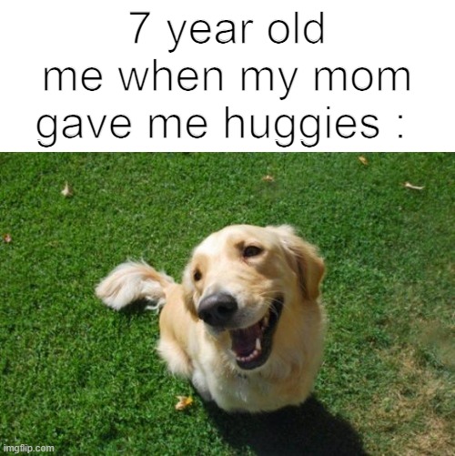 aww | 7 year old me when my mom gave me huggies : | image tagged in happy dog,wholesome,wait a second this is wholesome content | made w/ Imgflip meme maker