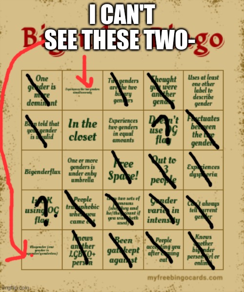 Was so happy to see this but I can't read or understand all of it super well- | I CAN'T SEE THESE TWO- | image tagged in bigender bingo | made w/ Imgflip meme maker