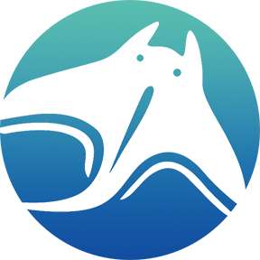 xxxx Blank Template - Imgflip