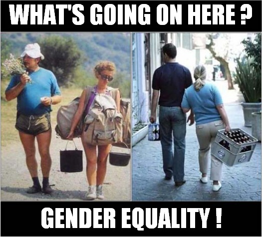 They Wanted It ! |  WHAT'S GOING ON HERE ? GENDER EQUALITY ! | image tagged in fun,gender equality | made w/ Imgflip meme maker