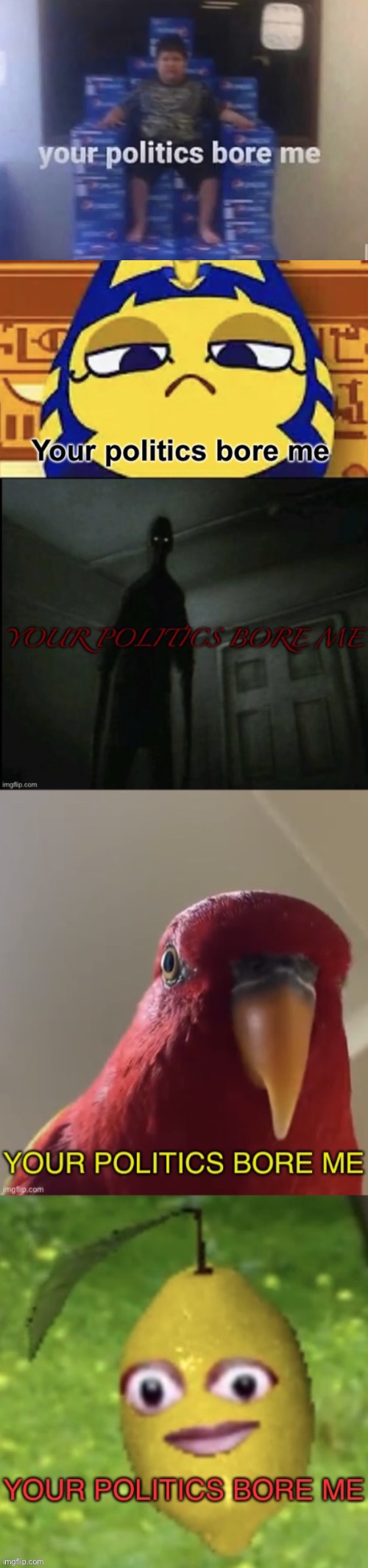 Your Politics Bore Me Imgflip