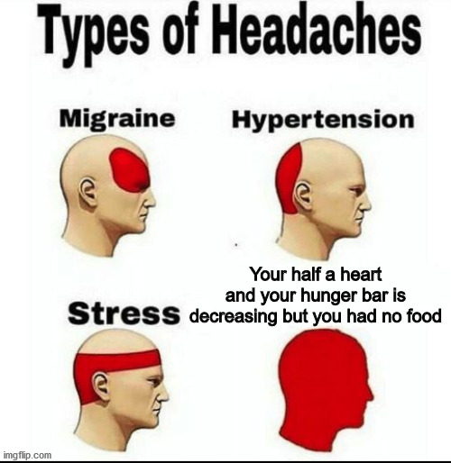 Hey guys been so long to upload a new Minecraft Meme | Your half a heart and your hunger bar is decreasing but you had no food | image tagged in types of headaches meme,memes,minecraft,funny memes | made w/ Imgflip meme maker