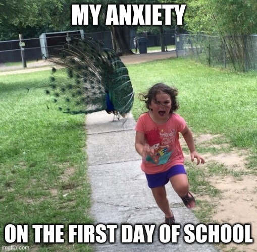 First day jitters be like | MY ANXIETY; ON THE FIRST DAY OF SCHOOL | image tagged in peacock chasing girl | made w/ Imgflip meme maker