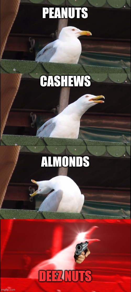 deiz nuts | PEANUTS; CASHEWS; ALMONDS; DEEZ NUTS | image tagged in memes,inhaling seagull | made w/ Imgflip meme maker