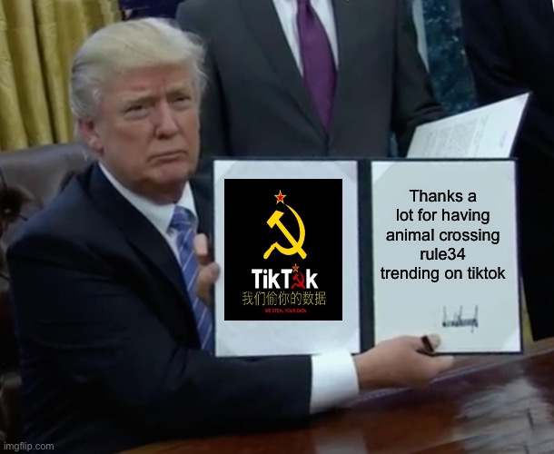Trump bill singing | Thanks a lot for having animal crossing rule34 trending on TikTok | image tagged in memes,trump bill signing,tiktok sucks | made w/ Imgflip meme maker