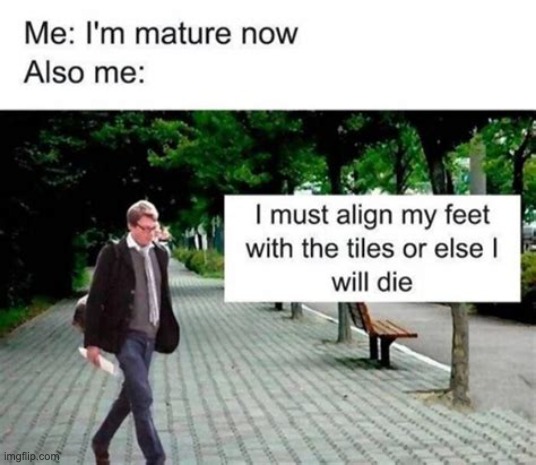 I'm mature now | image tagged in fun,funny,funny memes,memes | made w/ Imgflip meme maker