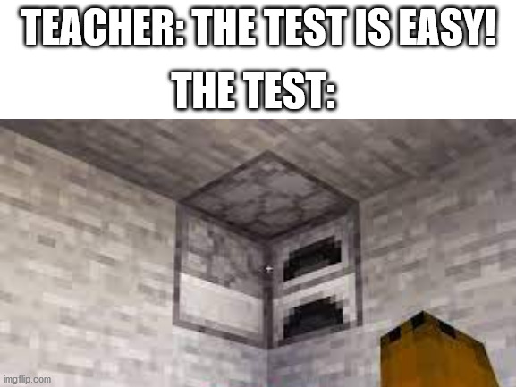 Minecraft Memes | TEACHER: THE TEST IS EASY! THE TEST: | image tagged in memes,minecraft,funny memes | made w/ Imgflip meme maker