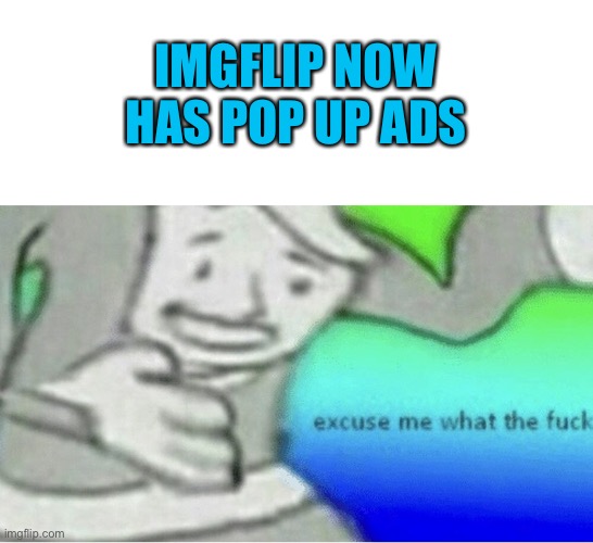 Excuse me wtf blank template | IMGFLIP NOW HAS POP UP ADS | image tagged in excuse me wtf blank template | made w/ Imgflip meme maker