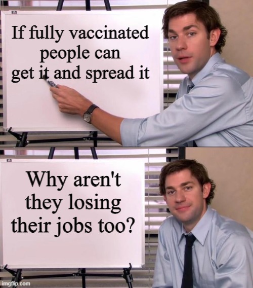 Jim Halpert Explains | If fully vaccinated people can get it and spread it; Why aren't they losing their jobs too? | image tagged in jim halpert explains | made w/ Imgflip meme maker