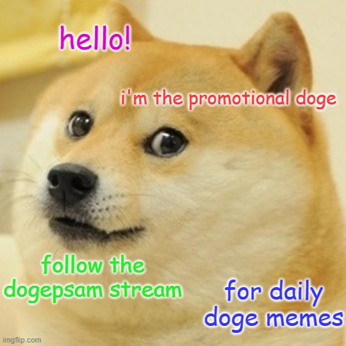 Is this how I get followers? | hello! i'm the promotional doge; follow the dogepsam stream; for daily doge memes | image tagged in memes,doge,promo,dogespam | made w/ Imgflip meme maker
