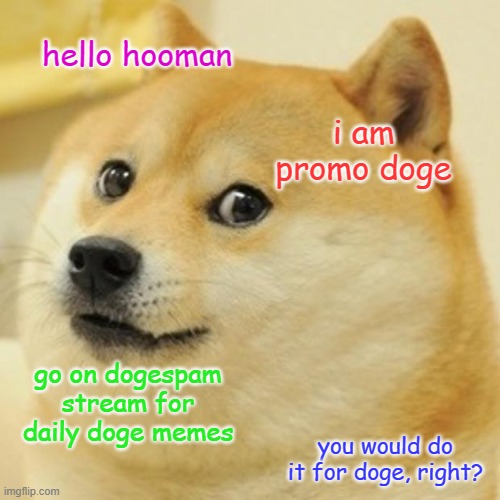 is this how I get followers?! | hello hooman; i am promo doge; go on dogespam stream for daily doge memes; you would do it for doge, right? | image tagged in memes,doge,promo,dogespam | made w/ Imgflip meme maker