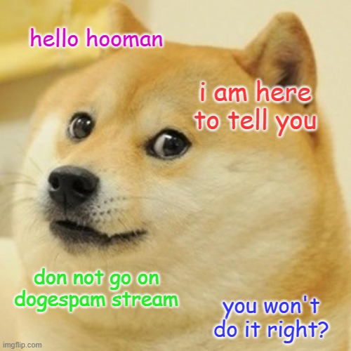 Doge | hello hooman; i am here to tell you; don not go on dogespam stream; you won't do it right? | image tagged in memes,doge,dogespam | made w/ Imgflip meme maker