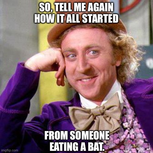 Willy Wonka Blank | SO, TELL ME AGAIN HOW IT ALL STARTED; FROM SOMEONE EATING A BAT. | image tagged in willy wonka blank | made w/ Imgflip meme maker