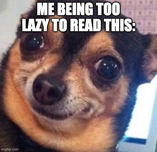 ME BEING TOO LAZY TO READ THIS: | made w/ Imgflip meme maker