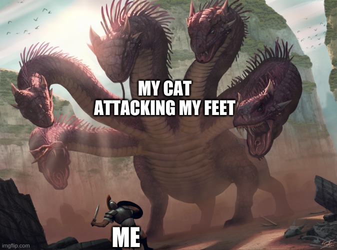 hydra | MY CAT ATTACKING MY FEET; ME | image tagged in hydra,cats | made w/ Imgflip meme maker