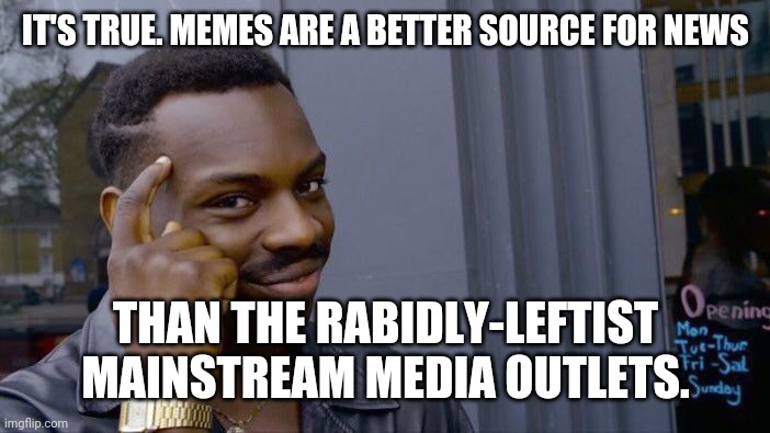 Roll Safe Think About It Meme | IT'S TRUE. MEMES ARE A BETTER SOURCE FOR NEWS THAN THE RABIDLY-LEFTIST MAINSTREAM MEDIA OUTLETS. | image tagged in memes,roll safe think about it | made w/ Imgflip meme maker