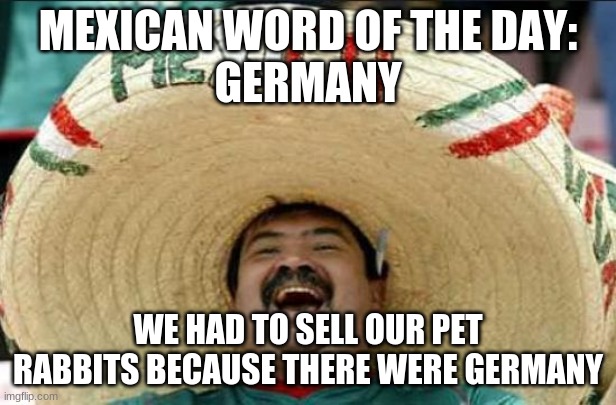 mexican word of the day | MEXICAN WORD OF THE DAY:
GERMANY; WE HAD TO SELL OUR PET RABBITS BECAUSE THERE WERE GERMANY | image tagged in mexican word of the day | made w/ Imgflip meme maker