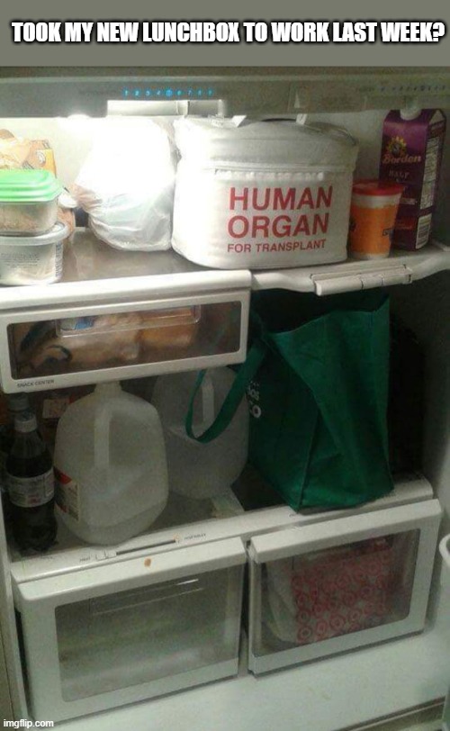 TOOK MY NEW LUNCHBOX TO WORK LAST WEEK? | image tagged in funny | made w/ Imgflip meme maker