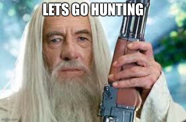 Shotgun Gandalf | LETS GO HUNTING | image tagged in shotgun gandalf | made w/ Imgflip meme maker