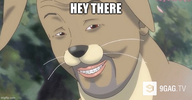 Weird anime hentai furry | HEY THERE | image tagged in weird anime hentai furry | made w/ Imgflip meme maker