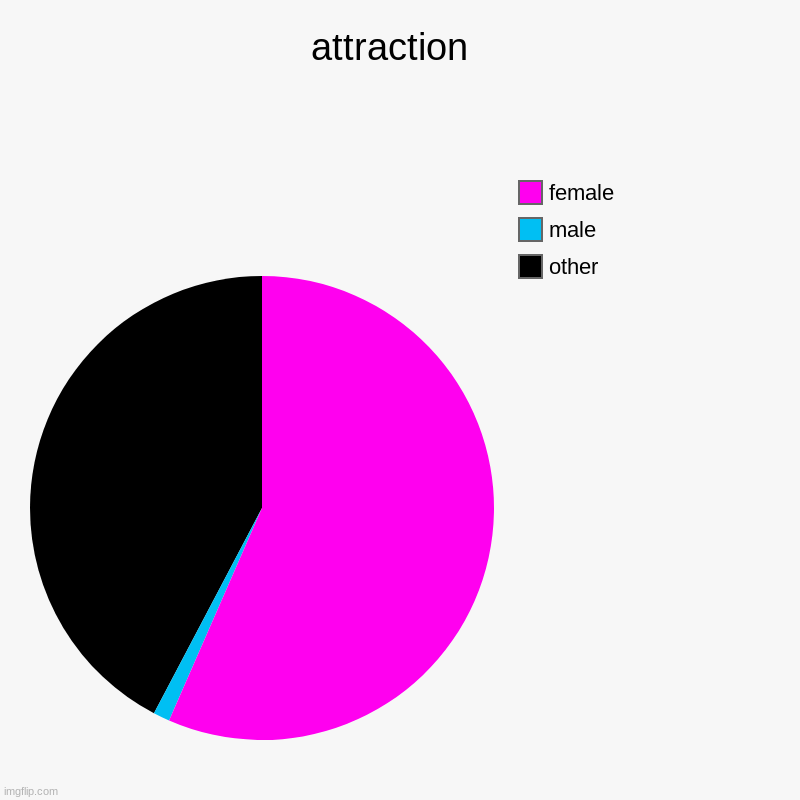 attraction  | other, male , female | image tagged in charts,pie charts | made w/ Imgflip chart maker