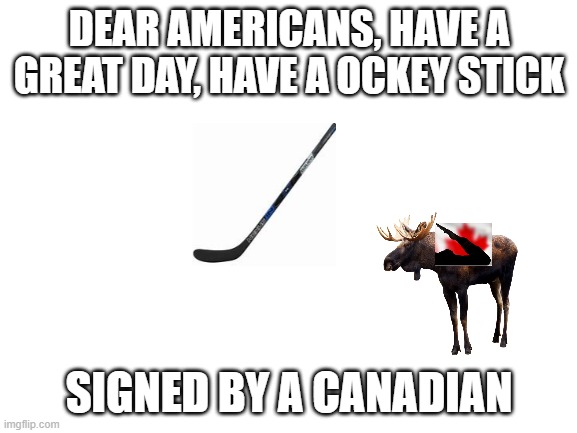 hello americans |  DEAR AMERICANS, HAVE A GREAT DAY, HAVE A OCKEY STICK; SIGNED BY A CANADIAN | image tagged in blank white template | made w/ Imgflip meme maker