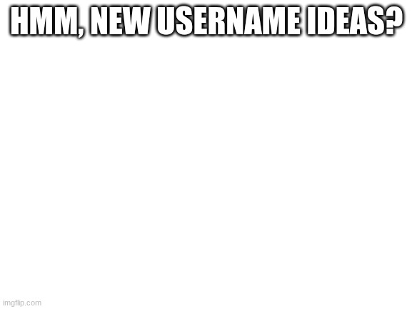HMMMM | HMM, NEW USERNAME IDEAS? | image tagged in blank white template | made w/ Imgflip meme maker