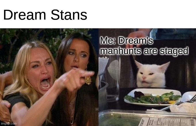 Woman Yelling At Cat | Dream Stans; Me: Dream's manhunts are staged | image tagged in memes,woman yelling at cat | made w/ Imgflip meme maker