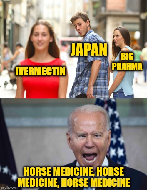 Japanese Medical Association Chairman tells Doctors to Prescribe Ivermectin for COVID | JAPAN; BIG PHARMA; IVERMECTIN; HORSE MEDICINE, HORSE MEDICINE, HORSE MEDICINE | image tagged in memes,distracted boyfriend,biden scream | made w/ Imgflip meme maker