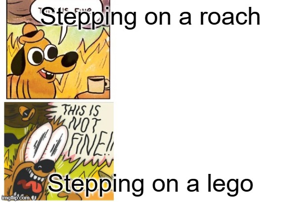 This is Fine, This is Not Fine | Stepping on a roach; Stepping on a lego | image tagged in this is fine this is not fine | made w/ Imgflip meme maker