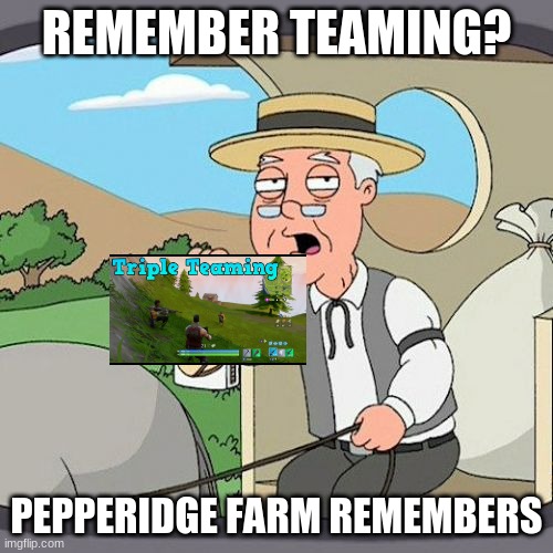 https://www.youtube.com/watch?v=CwxFE_yLUxU | REMEMBER TEAMING? PEPPERIDGE FARM REMEMBERS | image tagged in memes,pepperidge farm remembers | made w/ Imgflip meme maker