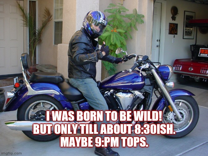 Wild | I WAS BORN TO BE WILD!
BUT ONLY TILL ABOUT 8:30ISH.
MAYBE 9:PM TOPS. | image tagged in motorcycle,party,wild | made w/ Imgflip meme maker