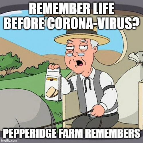 I feel bad for people who were born during the pandemic | REMEMBER LIFE BEFORE CORONA-VIRUS? PEPPERIDGE FARM REMEMBERS | image tagged in memes,pepperidge farm remembers,corona-virus,covid-19,fun | made w/ Imgflip meme maker