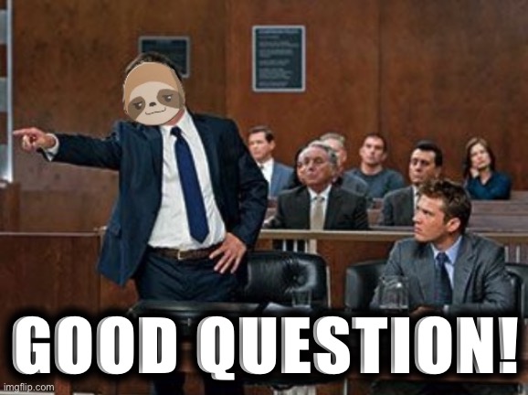 Sloth lawyer | GOOD QUESTION! | image tagged in sloth lawyer | made w/ Imgflip meme maker