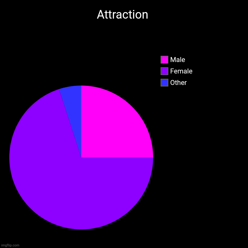 Well.... | Attraction | Other, Female, Male | image tagged in charts,pie charts | made w/ Imgflip chart maker