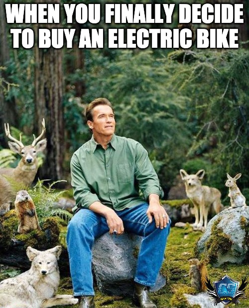Nature Arnold Electric | WHEN YOU FINALLY DECIDE TO BUY AN ELECTRIC BIKE | image tagged in arnold nature,motorcycle,motorcycles,bikers,funny memes | made w/ Imgflip meme maker