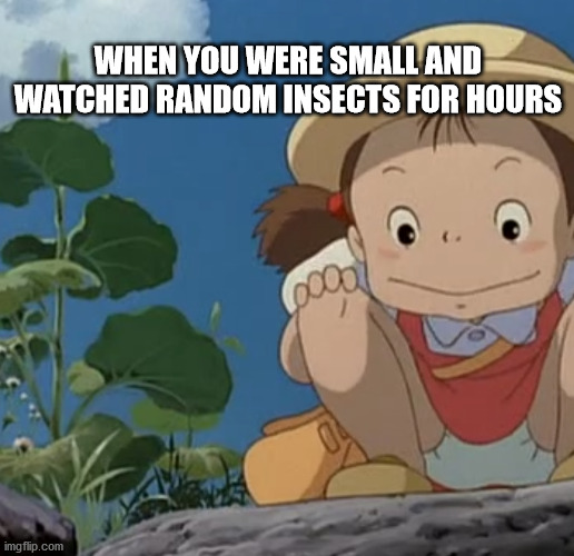 When you were small and watched insects for hours |  WHEN YOU WERE SMALL AND WATCHED RANDOM INSECTS FOR HOURS | image tagged in small,childhood,insect,kids,nature,studio ghibli | made w/ Imgflip meme maker
