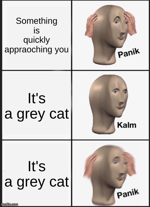 Panik Kalm Panik Meme | Something is quickly appraoching you It's a grey cat It's a grey cat | image tagged in memes,panik kalm panik | made w/ Imgflip meme maker