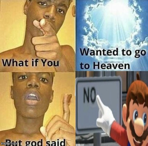 no. | image tagged in memes,dank memes,what if you wanted to go to heaven,mario no sign | made w/ Imgflip meme maker