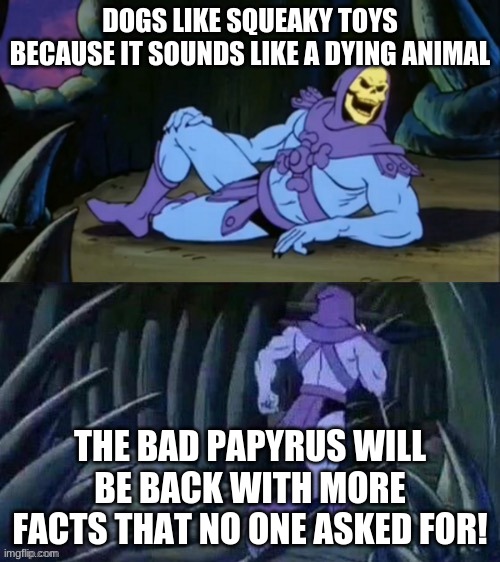 Skeletor disturbing facts | DOGS LIKE SQUEAKY TOYS BECAUSE IT SOUNDS LIKE A DYING ANIMAL; THE BAD PAPYRUS WILL BE BACK WITH MORE FACTS THAT NO ONE ASKED FOR! | image tagged in skeletor disturbing facts | made w/ Imgflip meme maker