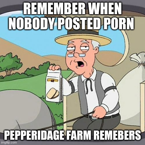 i ran out of ideas | REMEMBER WHEN NOBODY POSTED P0RN; PEPPERIDAGE FARM REMEBERS | image tagged in memes,pepperidge farm remembers | made w/ Imgflip meme maker