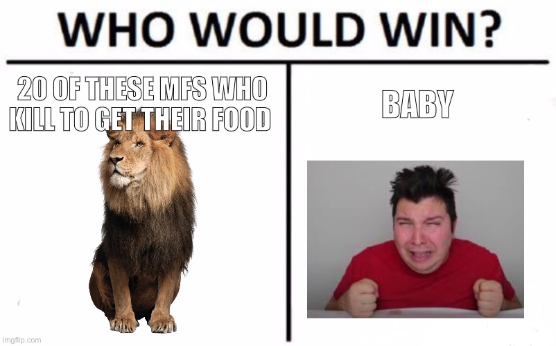 Frik nick | 20 OF THESE MFS WHO KILL TO GET THEIR FOOD; BABY | image tagged in memes,who would win,lion,baby | made w/ Imgflip meme maker